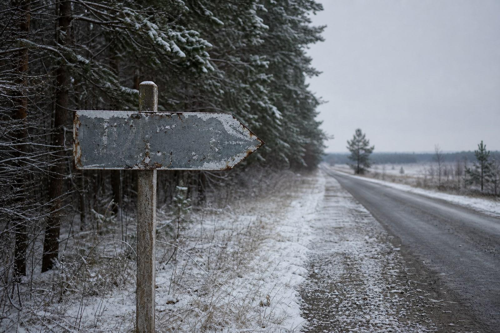 An empty road and an old directional signpost pointing east at the edge of a snowy European pine forest under a grey winter sky.