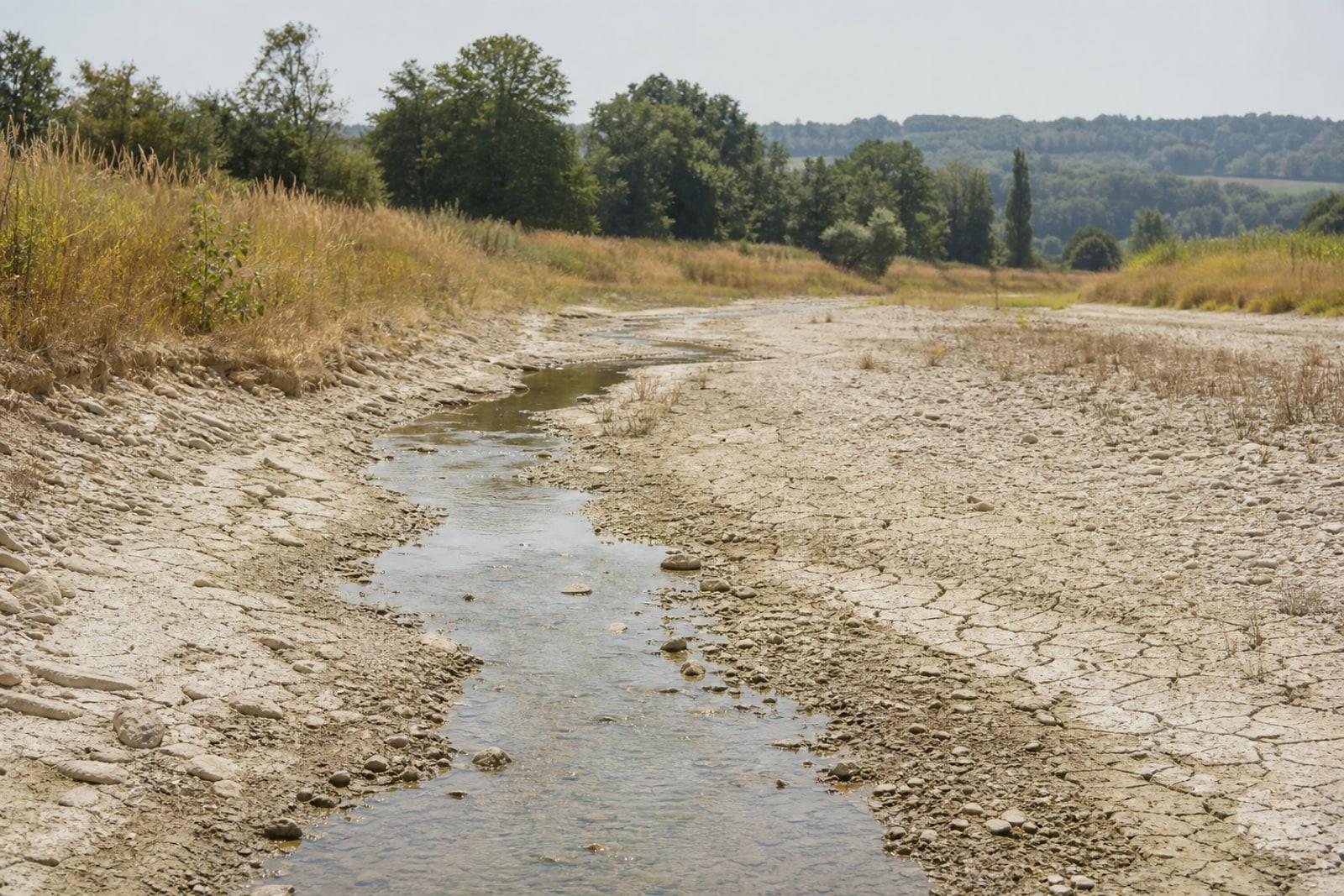 Ein von der Dürre auf ein Rinnsal geschrumpfter luxemburgischer Fluss zwischen trockenen, rissigen Uferböschungen unter greller Sommersonne.