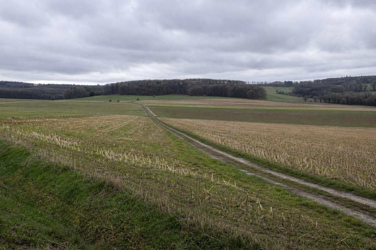 D'ëmklasséiert Landwirtschaftsland bei Biissen, wou de geplangte Google-Datenzenter soll entstoen — nach ouni Gebai.