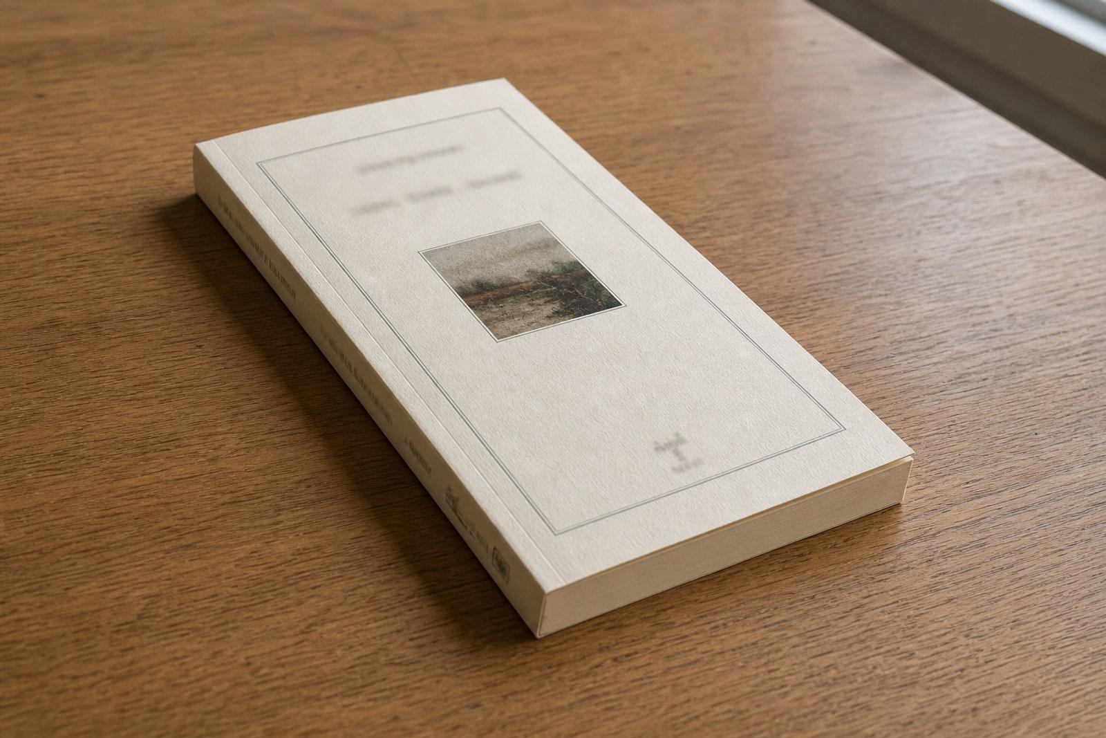 A first-edition copy of the Actes Sud novel 'Léa ou la théorie des systèmes complexes' on a wooden table in daylight.