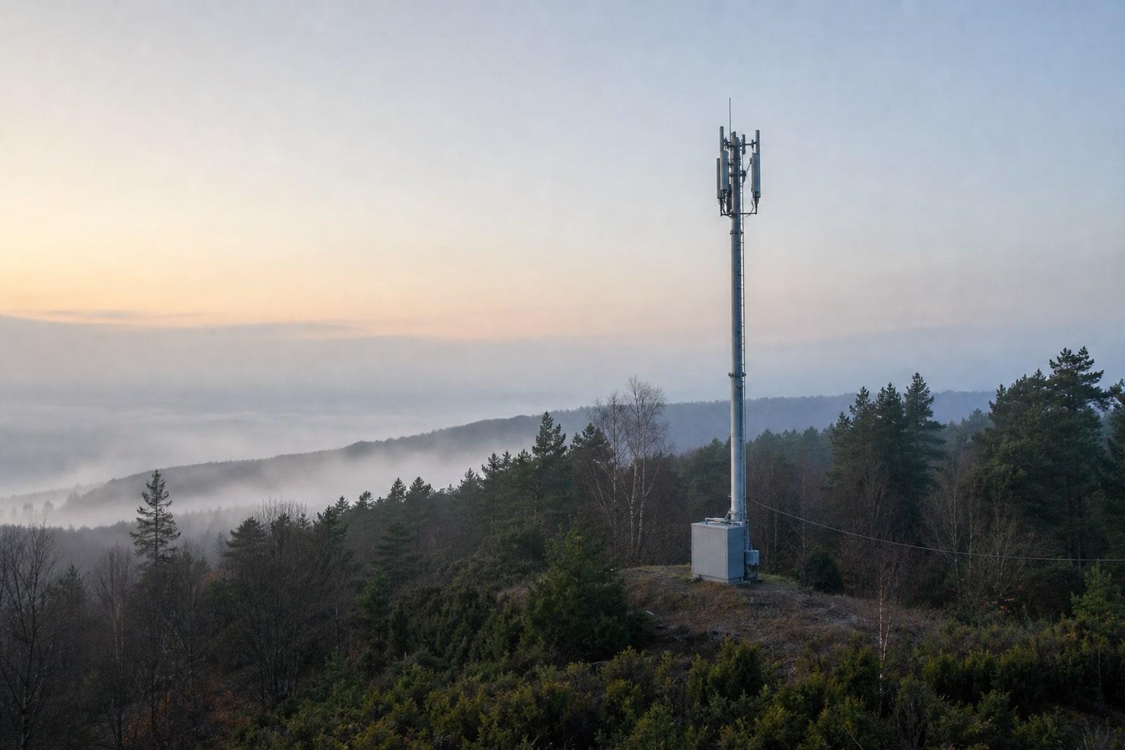 A mobile-network antenna mast on a wooded ridge at dawn with a small equipment cabinet at its base.